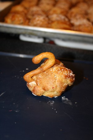 Final Product - Delicious Cygnus!