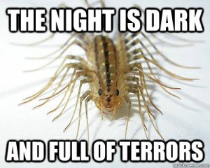 House Centipede Meme