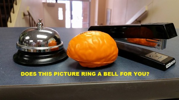 Brain Trust - Stapler