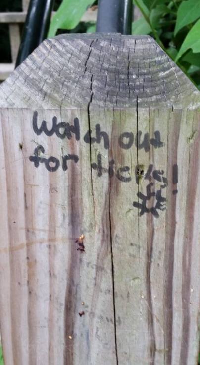 Saug - Post - Watch out for Ticks