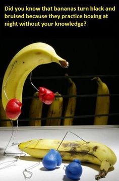 Boxing Bananas