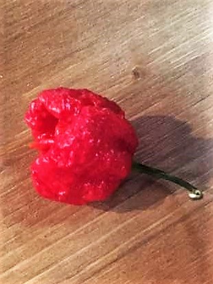 Carolina Reaper