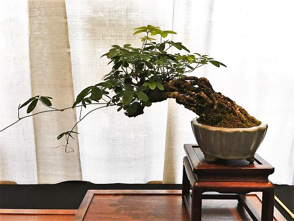 Uncomfortable Balance